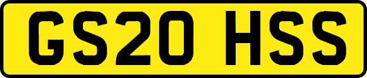 GS20HSS