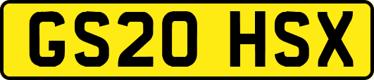 GS20HSX