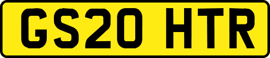GS20HTR