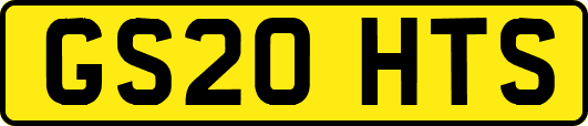 GS20HTS