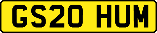 GS20HUM