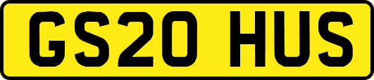 GS20HUS