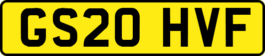 GS20HVF