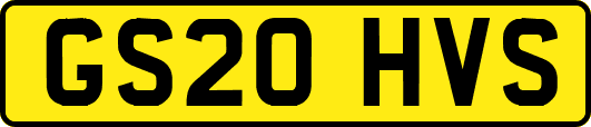 GS20HVS