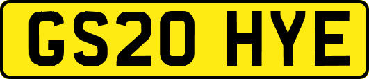 GS20HYE