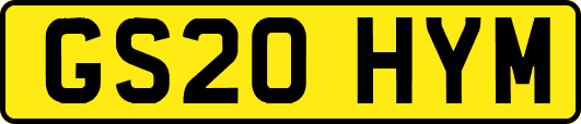 GS20HYM