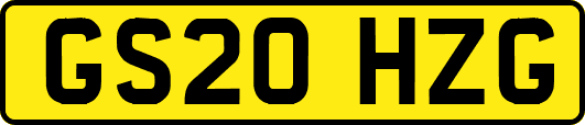 GS20HZG