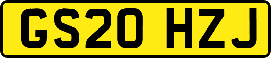 GS20HZJ