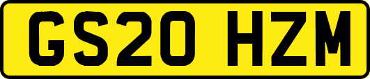GS20HZM