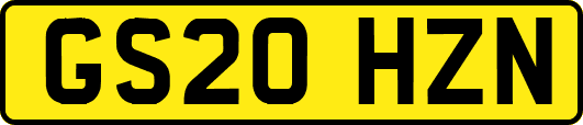 GS20HZN