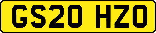 GS20HZO