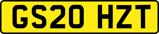 GS20HZT