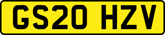 GS20HZV