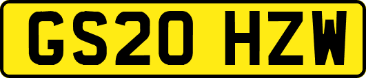 GS20HZW