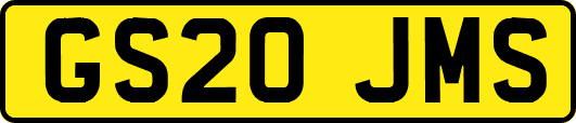 GS20JMS