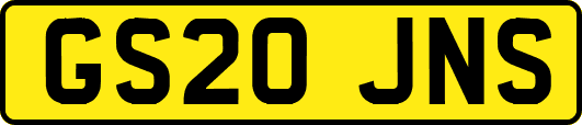 GS20JNS