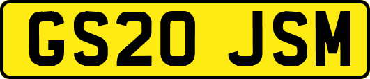 GS20JSM