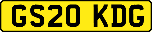 GS20KDG