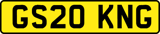 GS20KNG