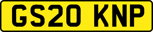 GS20KNP