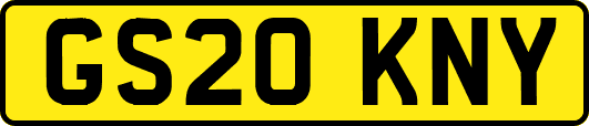 GS20KNY