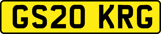 GS20KRG
