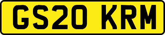 GS20KRM