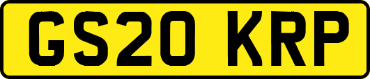 GS20KRP