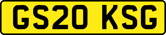 GS20KSG