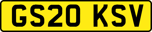 GS20KSV
