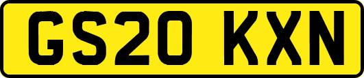GS20KXN