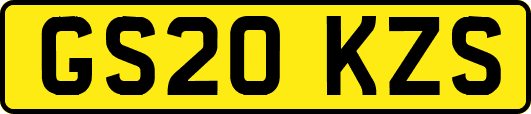 GS20KZS