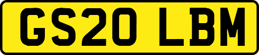 GS20LBM