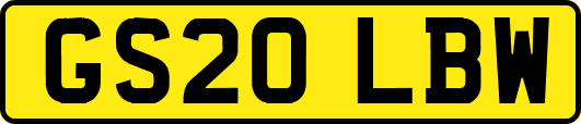 GS20LBW