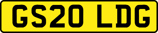 GS20LDG