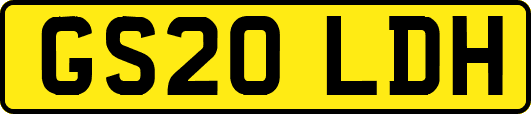 GS20LDH