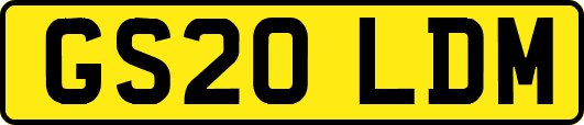 GS20LDM