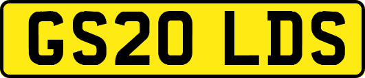 GS20LDS