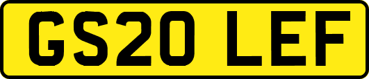 GS20LEF