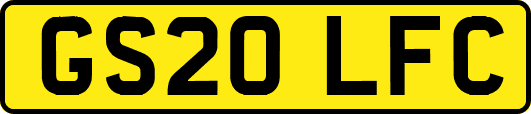 GS20LFC