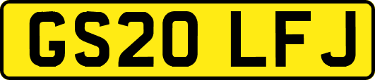 GS20LFJ