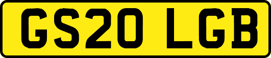 GS20LGB