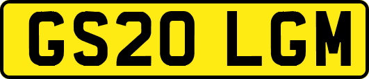 GS20LGM