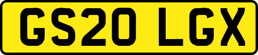 GS20LGX