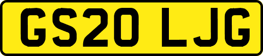 GS20LJG