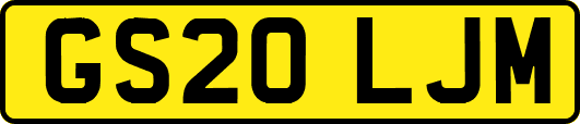 GS20LJM