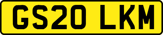 GS20LKM