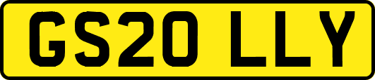 GS20LLY
