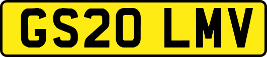 GS20LMV