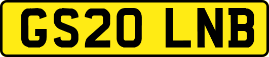 GS20LNB